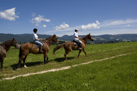 Turismo equestre nel veneto