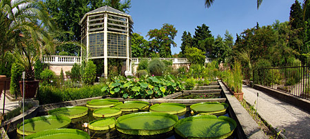 L'orto botanico di Padova
