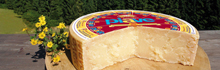 Formaggio Piave Dop