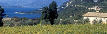La Strada del vino Bardolino 